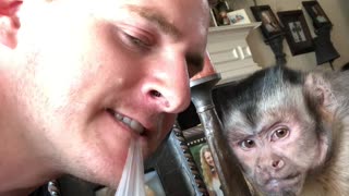 Monkey Makes Cute Faces