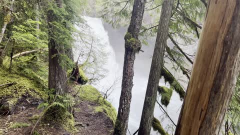 Hiking Up INCREDIBLE Old Growth Forest to Koosah Falls – Central Oregon – 4K