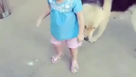 Child and beaty dog love