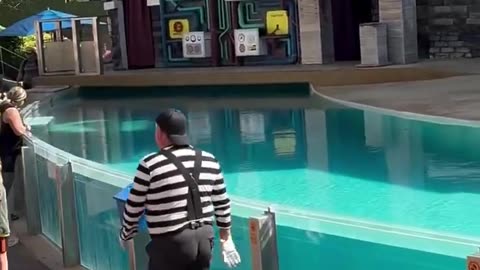 Funny video #seaworldmime #viral Shorts