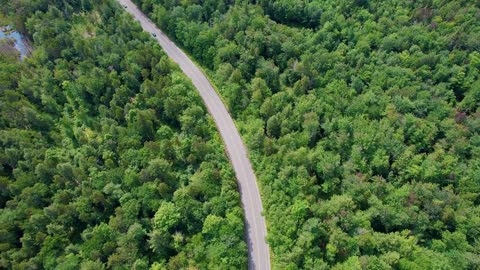 Green Forest Road