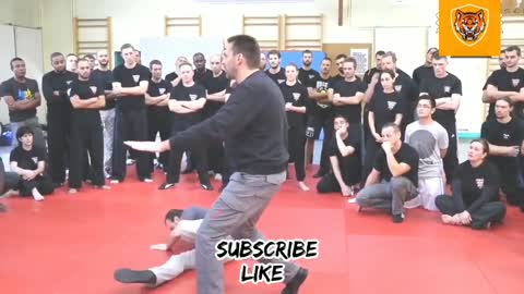 BEST Self Defence (Unbelievable Master Techniques)