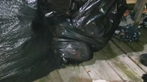 Guy Guards Garbage From Bear