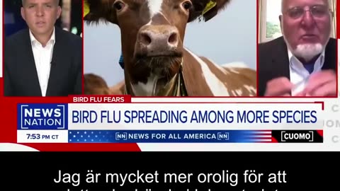 Dr David Martin; Det visar sig att du kan hitta ”aldrig sett förut” H5N2-viruset TILL SALU