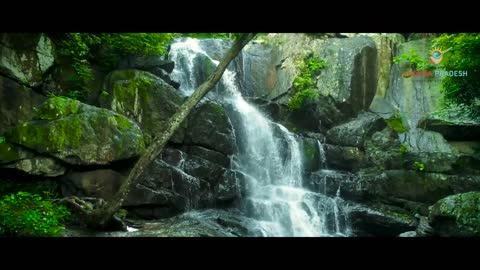MAREDUMILLI Rampa Waterfalls Of #Maredumilli - Andhra Pradesh || Andhra Pradesh Tourism