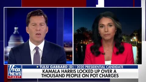 Hawaii's Tulsi Gabbard Slams Kamala Harris' Marijuana Hypocrisy! (#Fox New)