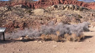 Anasazi and silver reef