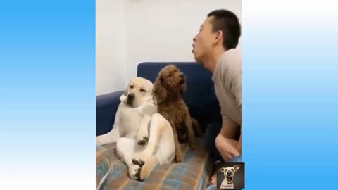 This Dogs Can mimic anything!! Top Funny Pets Videos Try Not To Laugh