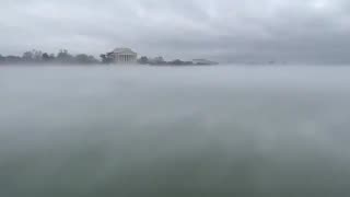 Dense fog hovers over D.C area