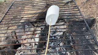 Bbq marshmallows