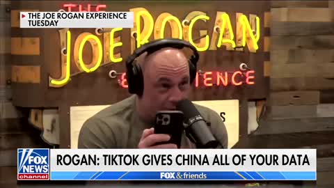 Joe Rogan Reads Tik-Tok's Privacy Policy and It's REALLY BAD