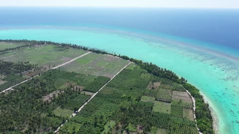 Tropical island near a coral atoll reef