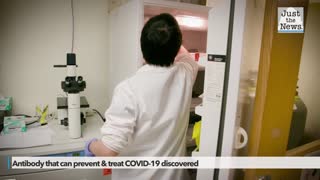 Researchers discover antibody molecule they say can prevent, treat COVID-19