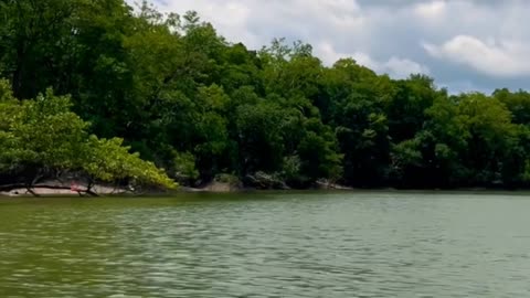 river in the state of PARÁ, Brazil, Amazonas 🎣