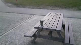 Coffee on picnic table.