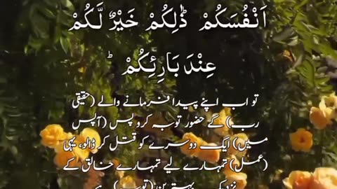 Surah al Baqrah