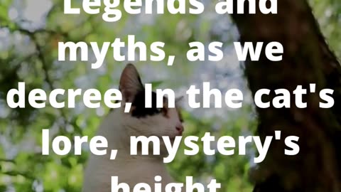 Meows and Monologues: A Prose Exploration of Feline Mysteries #poem #poetry #shorts #art👍👄🔔🛫✒️