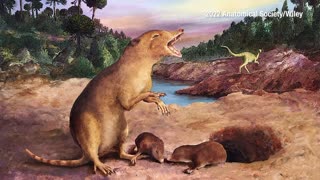 First ever mammal discovered using fossil records