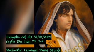 Evangelio del día 31/03/2024 según San Juan 20, 1-9 - Cardenal Daniel Sturla