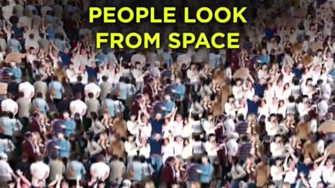How much space would 8 billion people take if you bunch them all together?