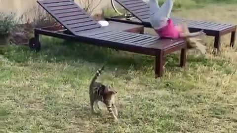 Little kitty runs wild