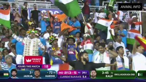 PAK vs IND Asia Cup Highlights 2023 | Pakistan vs India Asia Cup Highlights 2023