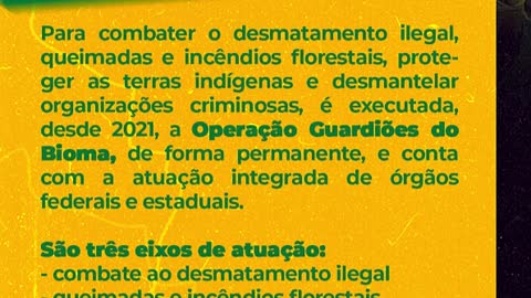 A Saga Do Governo Bolsonaro 15° Episódio