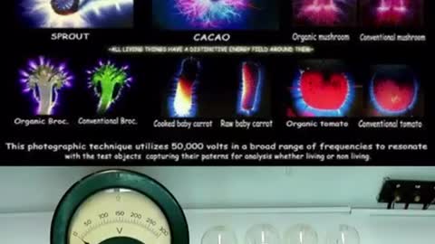 Scientific measurement of fresh fruits