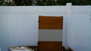 How To Add Candy Box To Your Bee Hive