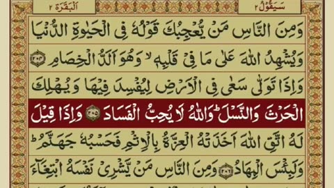 Quran 2 para with urdu translation «part 41»