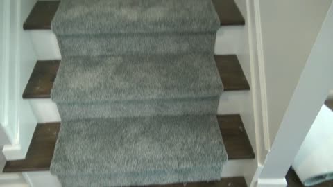 Custom 30" wide runner on 36 steps, three platforms and two 30" x 24 ft long hallway runners