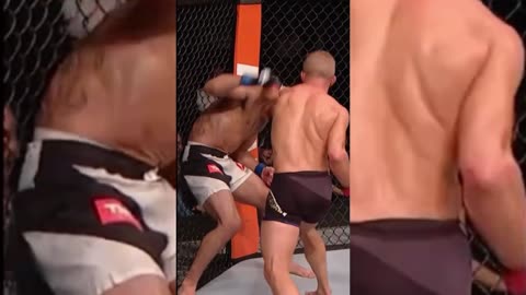 Bloody Knockout in UFC