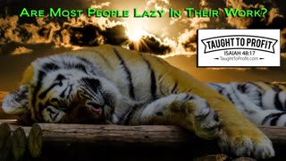 Are Most People Lazy In Their Work？ Are You Lazy？ You Might Be And Not Realize It!