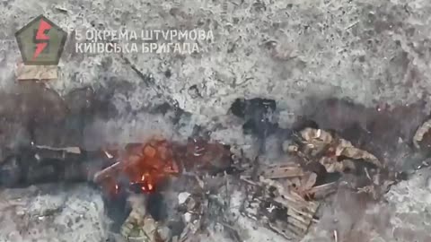 Ukrainian drone takes Russian trench under fire with dropping munition