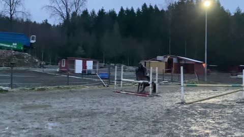 Horse Runs Into Jumping Pole And Stumbles, Throwing A Woman Off His Back