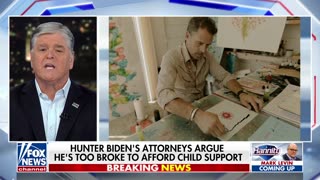Is Hunter Biden too broke to pay child support?: Sean Hannity