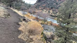 Central Oregon – Steelhead Falls – The River Trail – 4K