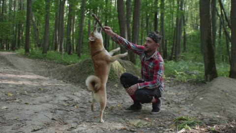 Dog with owner playing