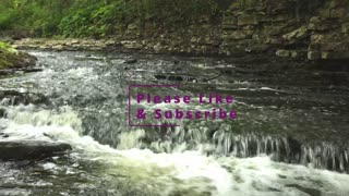 Meditation: Babbling Brook I