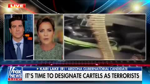 Kari Lake Targets Cartels With New Aggressive Plan