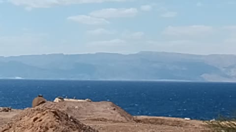 Tabuk sea border