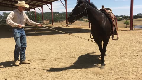 How to safely drag something from your horse.