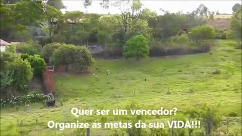 Vida na roça