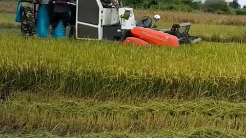 Kubota combine harvester