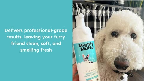 Dog Dry Shampoo