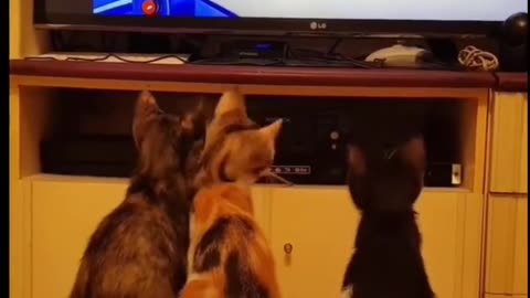 They are Shocked 🙀🤯