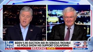 Newt Gingrich Says Biden's 'Millions' In Advertising Won't Be Able To 'Overcome' Voters 'Reality'