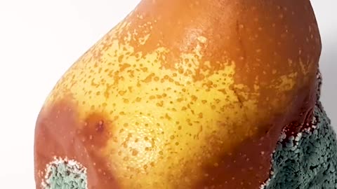 Pear time lapse🔥🔥