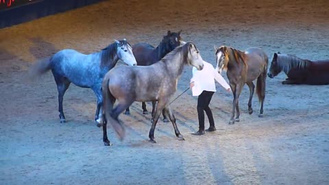 Jean-François Pignon. London International Horse Show