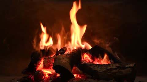 Campfire Ambience | Natural Fireplace Sound to Sleep, Study, Relax